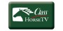 Horse TV sky logo canale tv