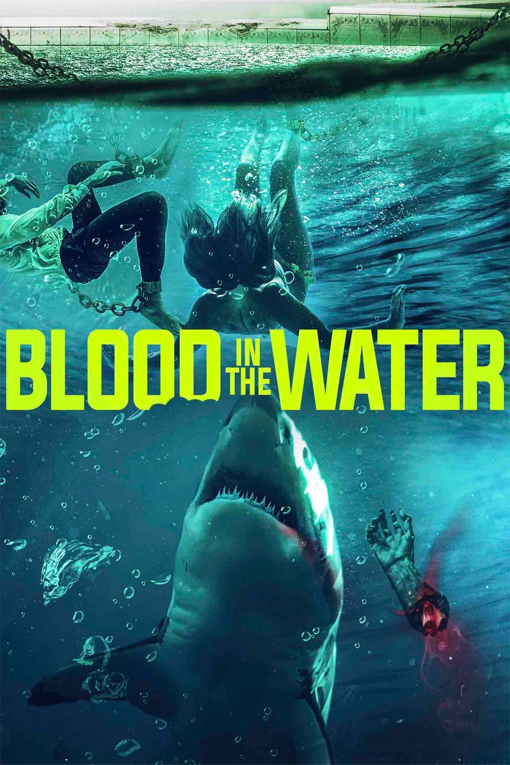 Blood in the Water film