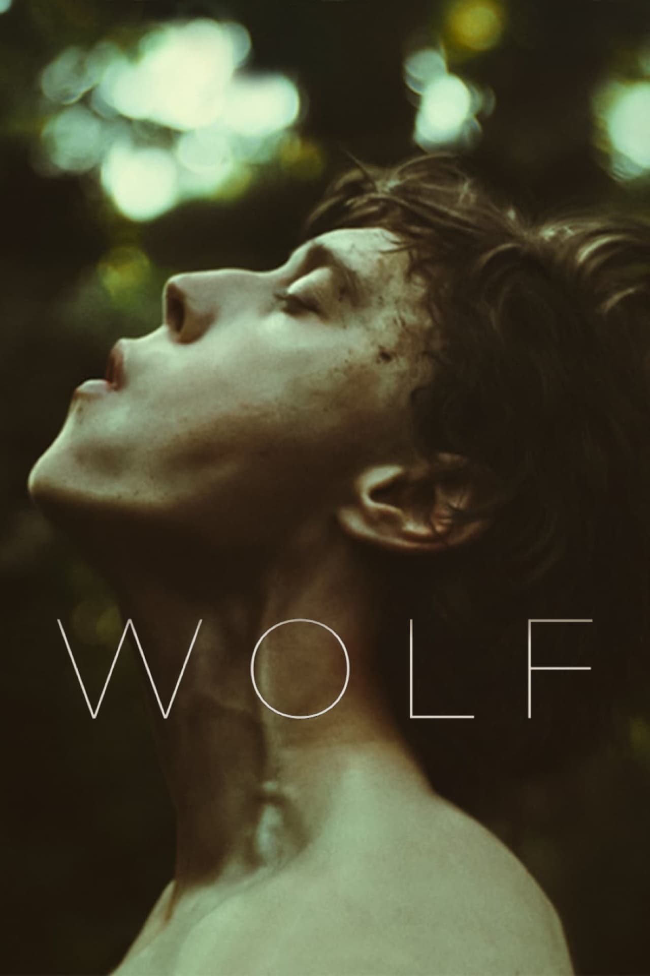 Wolf film