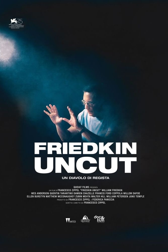 Friedkin Uncut - Un diavolo di regista film