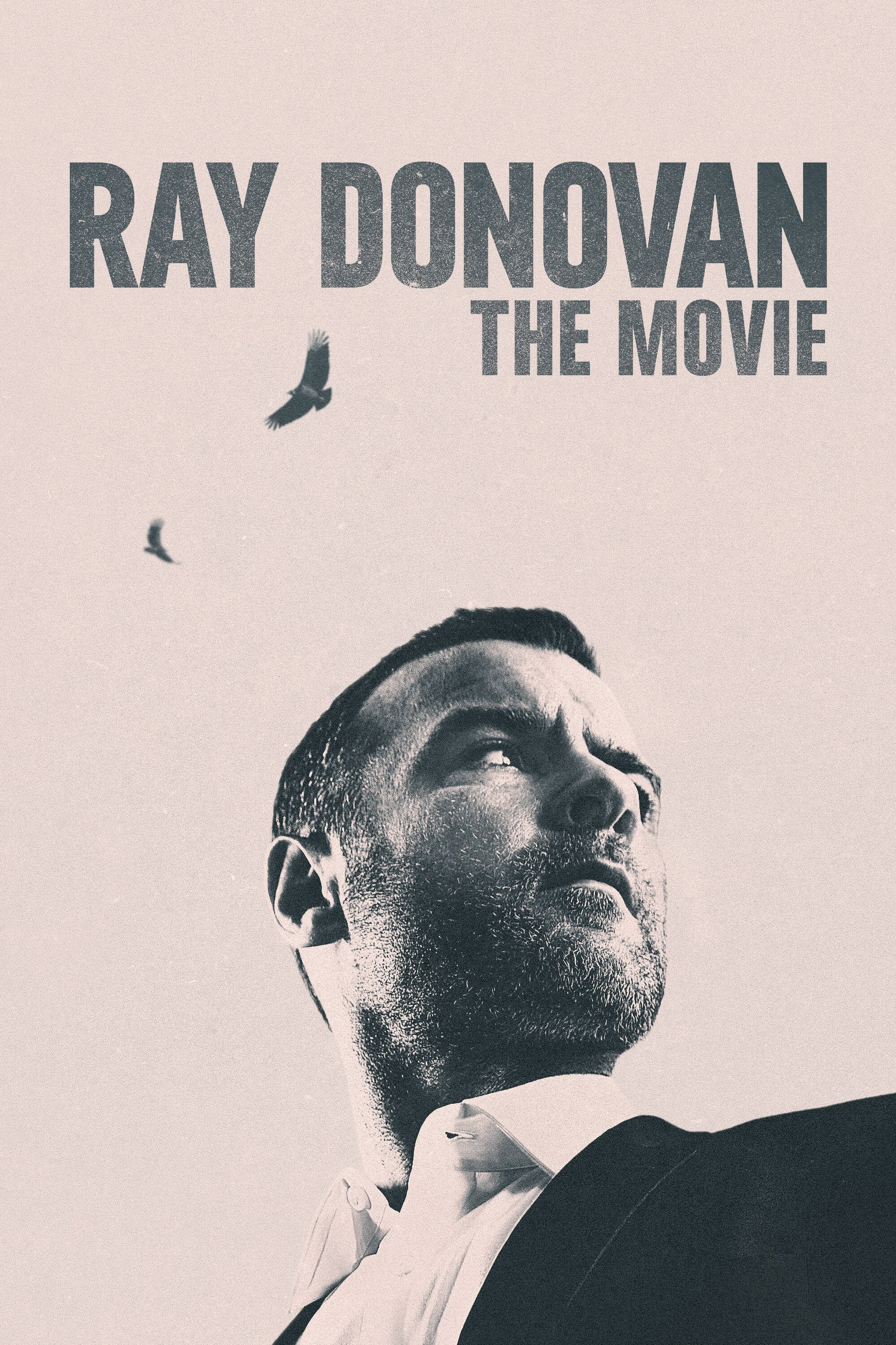 Ray Donovan: The Movie film