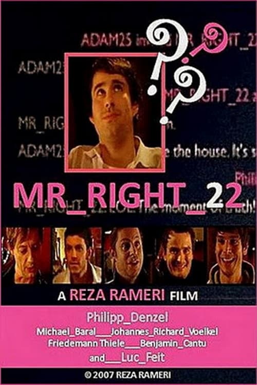 Mr_Right_22 film