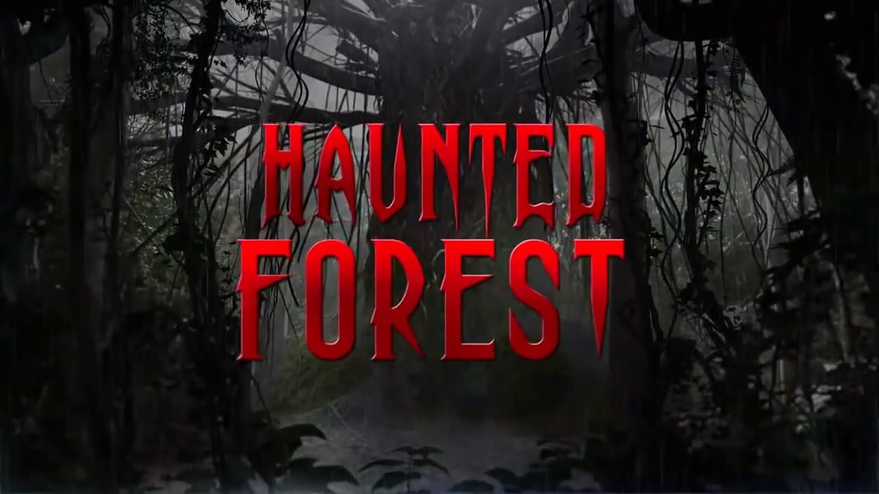 Haunted Forest - film