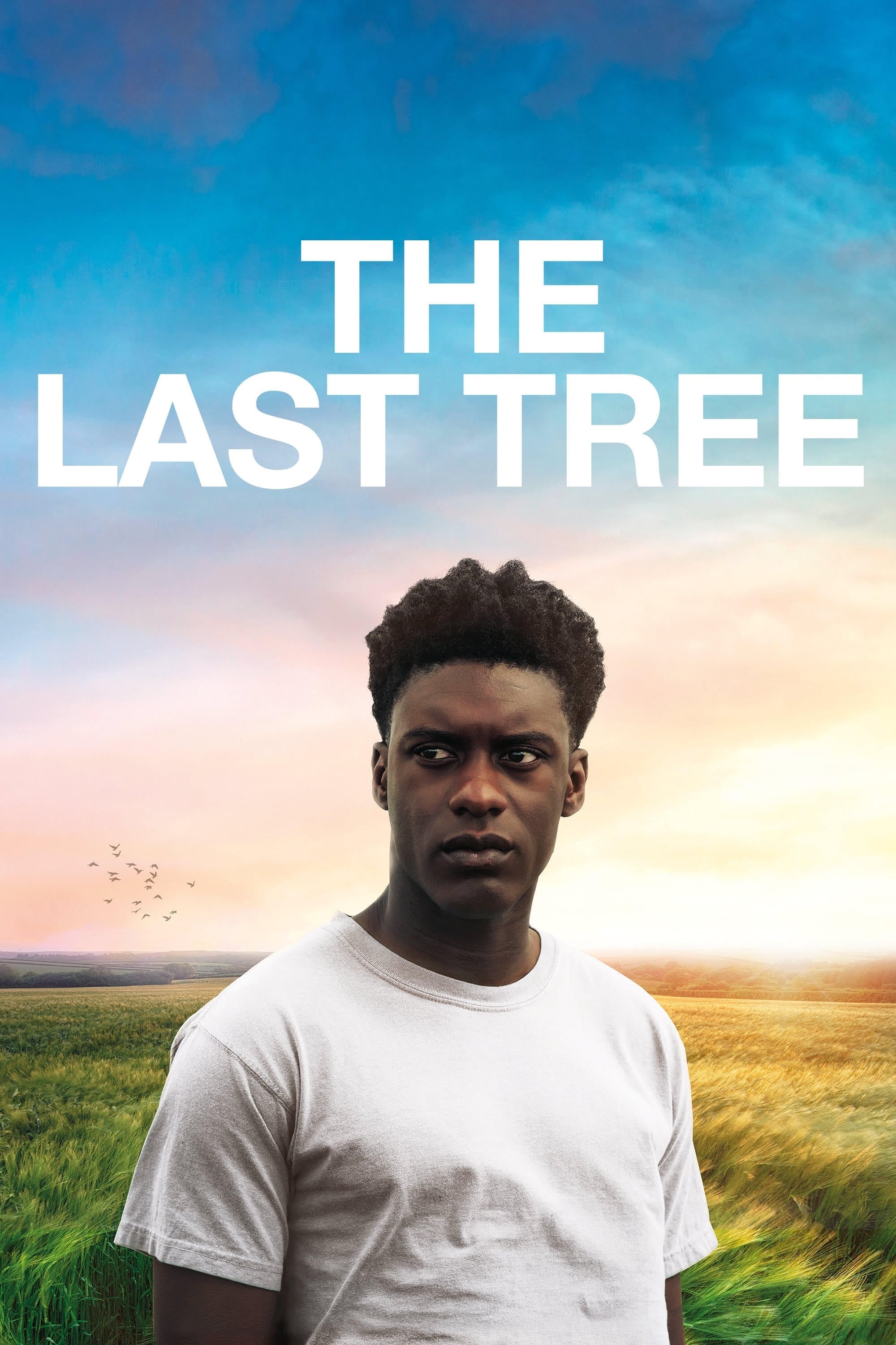 The Last Tree film