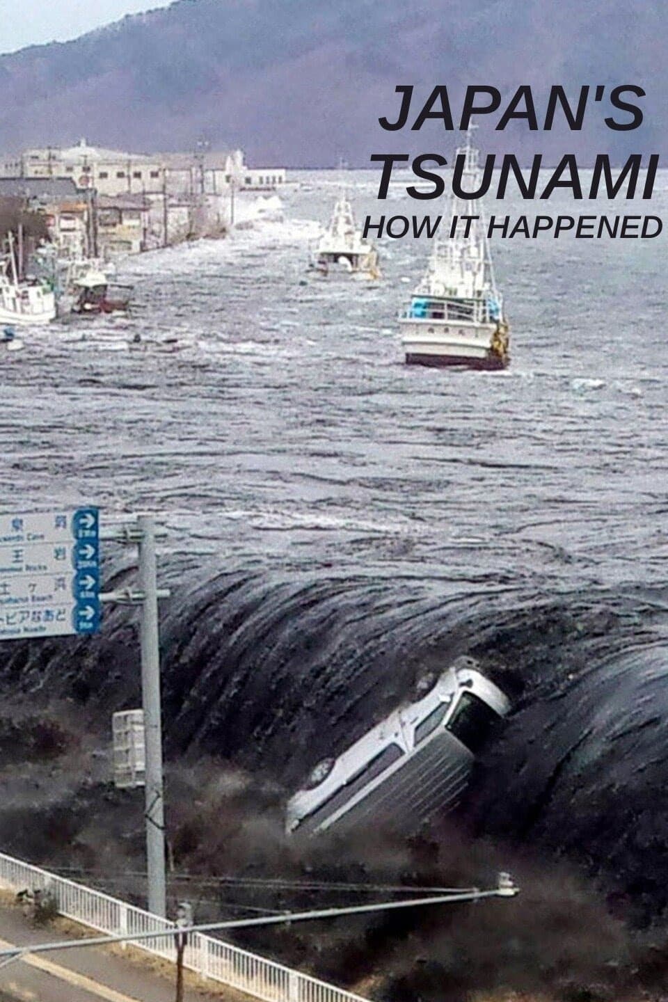 Japan's Tsunami: How It Happened film