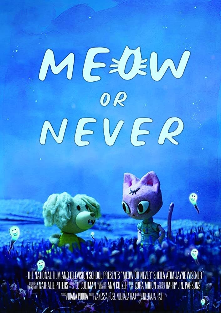 Meow or Never film