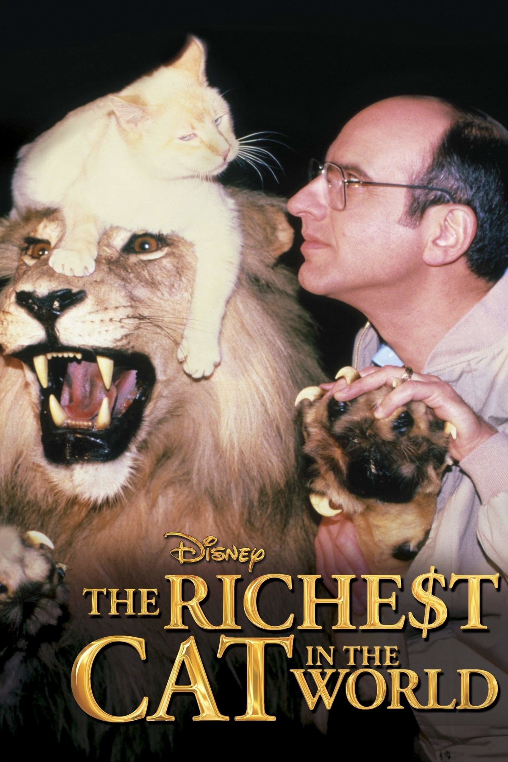 The Richest Cat in the World film