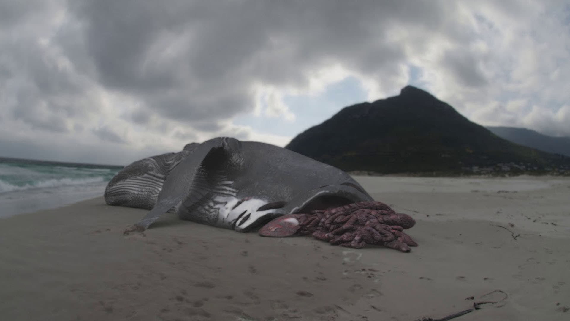 Megalodon: The Monster Shark Lives - film