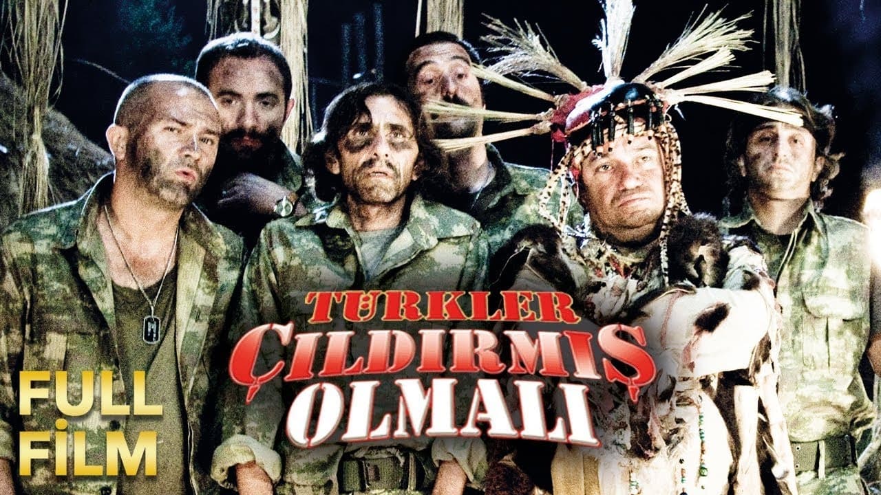 Türkler Çıldırmış Olmalı - film