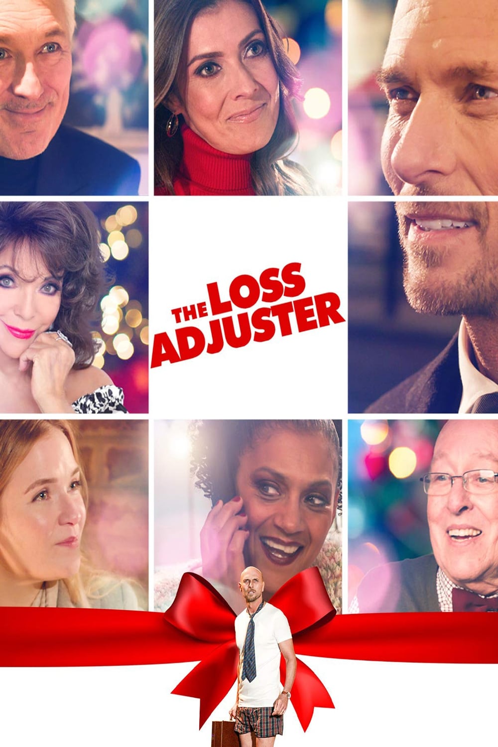 The Loss Adjuster film