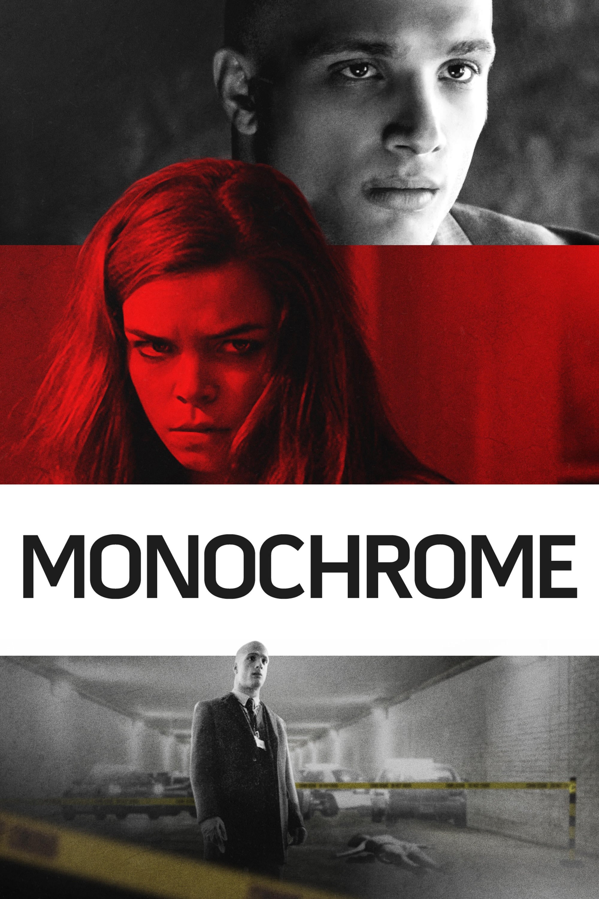 Monochrome film