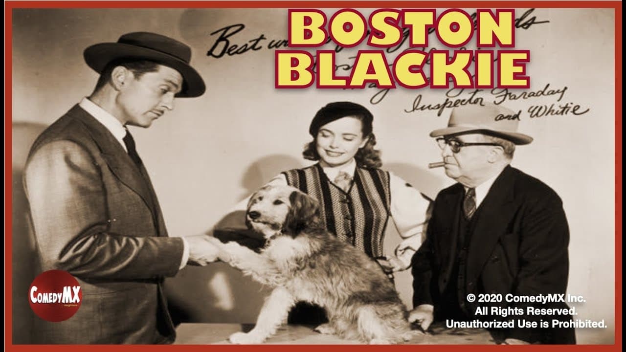 Le inchieste di Boston Blackie