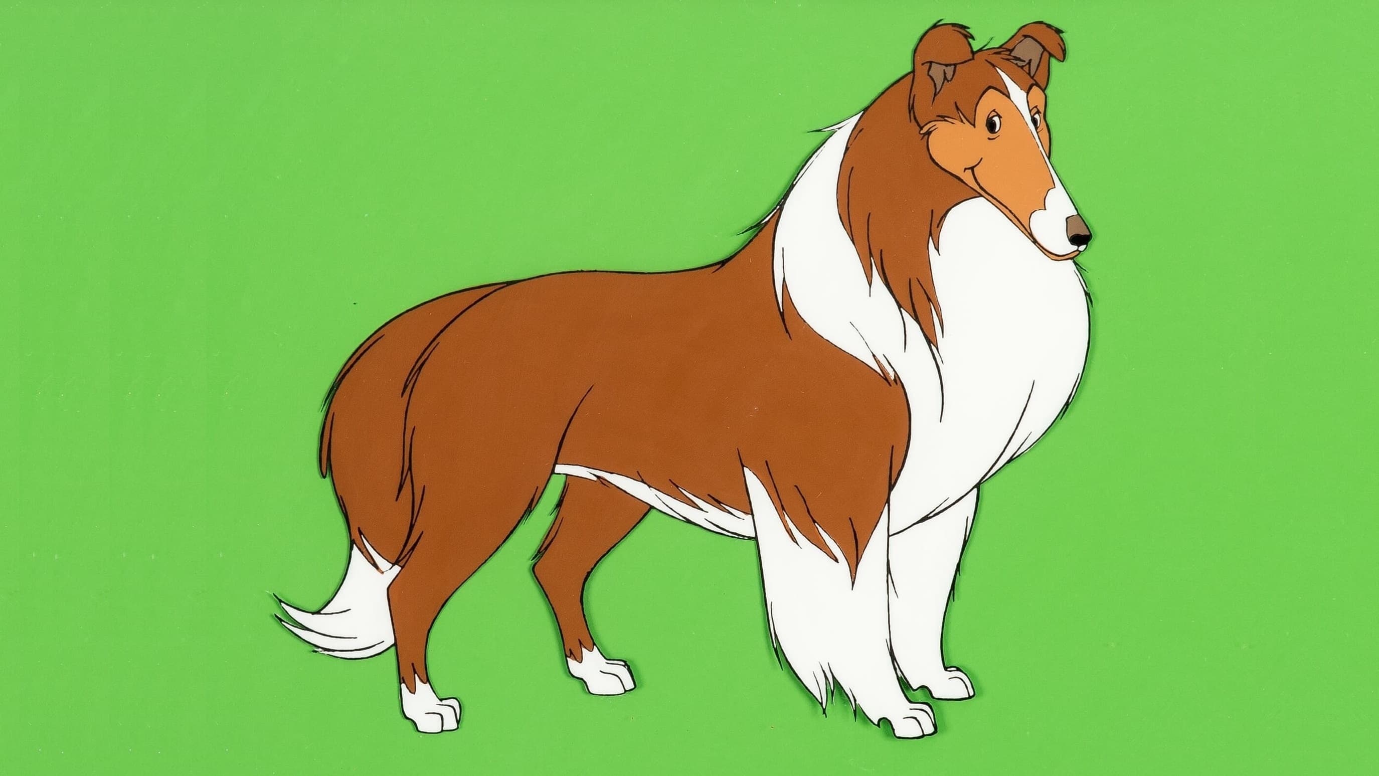 Lassie e la squadra di soccorso