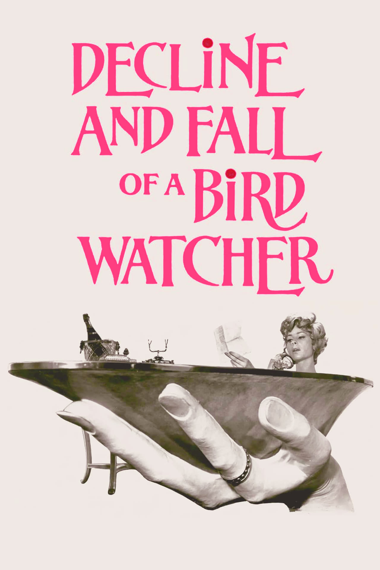 Decline and Fall ...of a Birdwatcher film