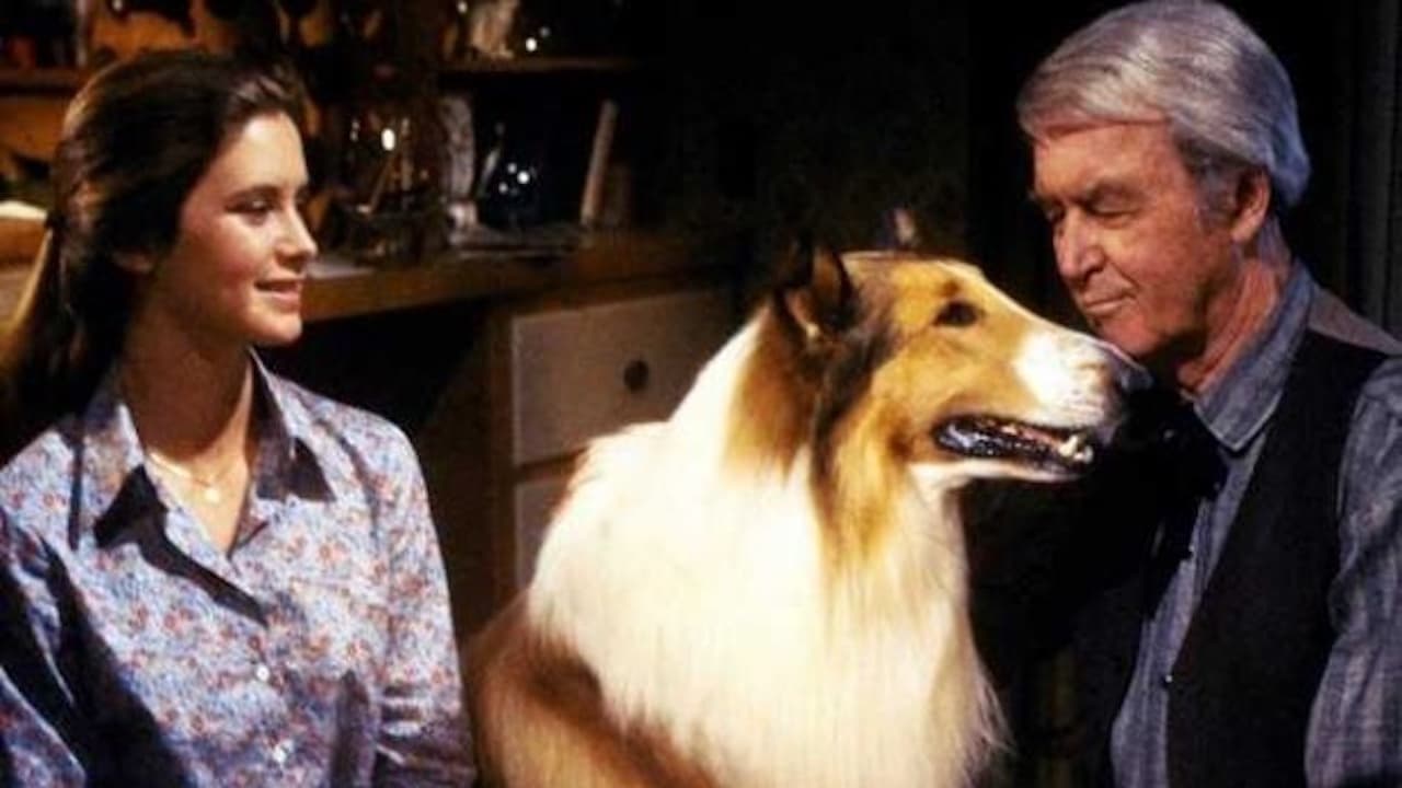 La più bella avventura di Lassie