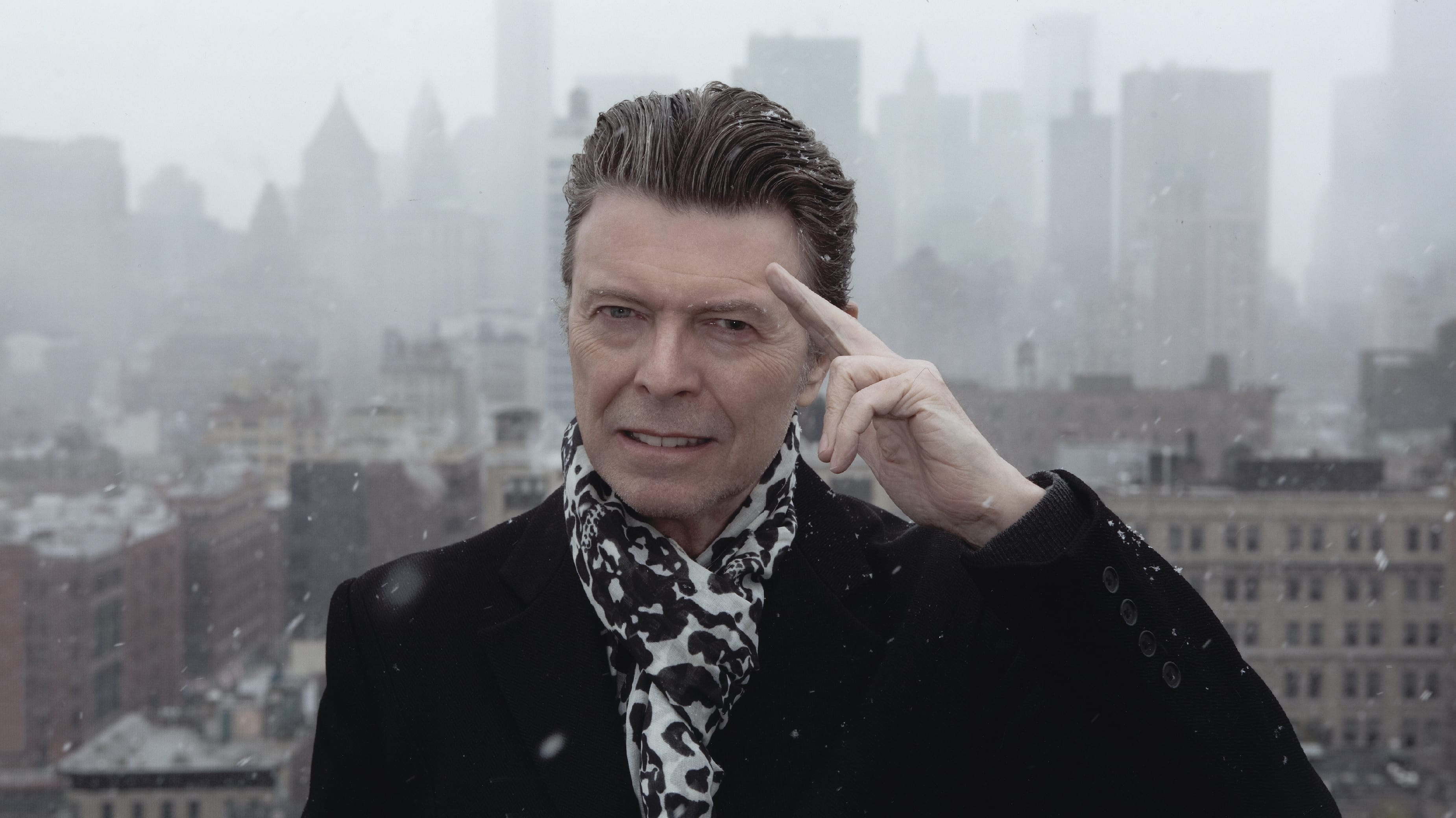 David Bowie: The Last Five Years - film