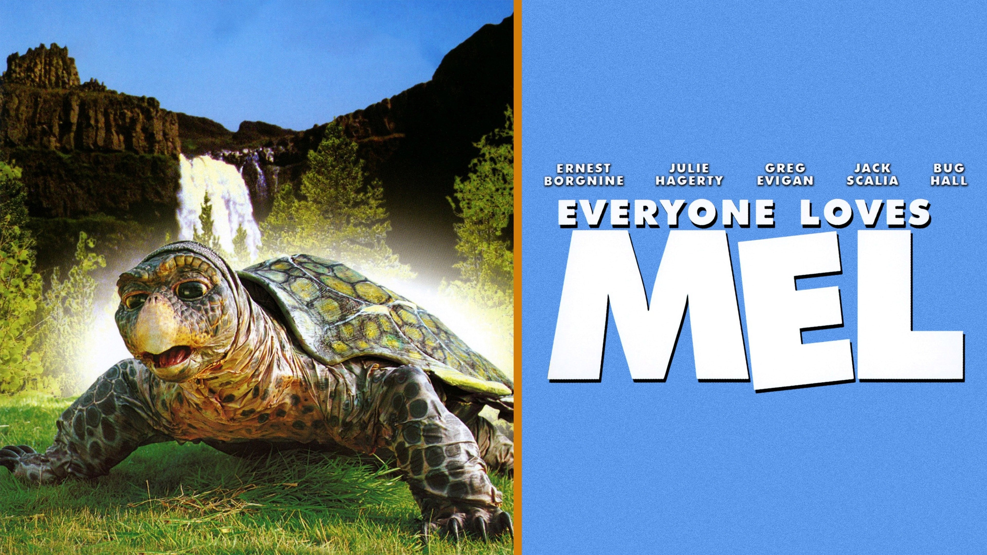 Mel - Una tartaruga per amico