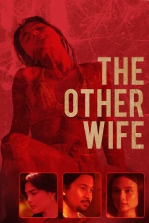 The Other Wife film