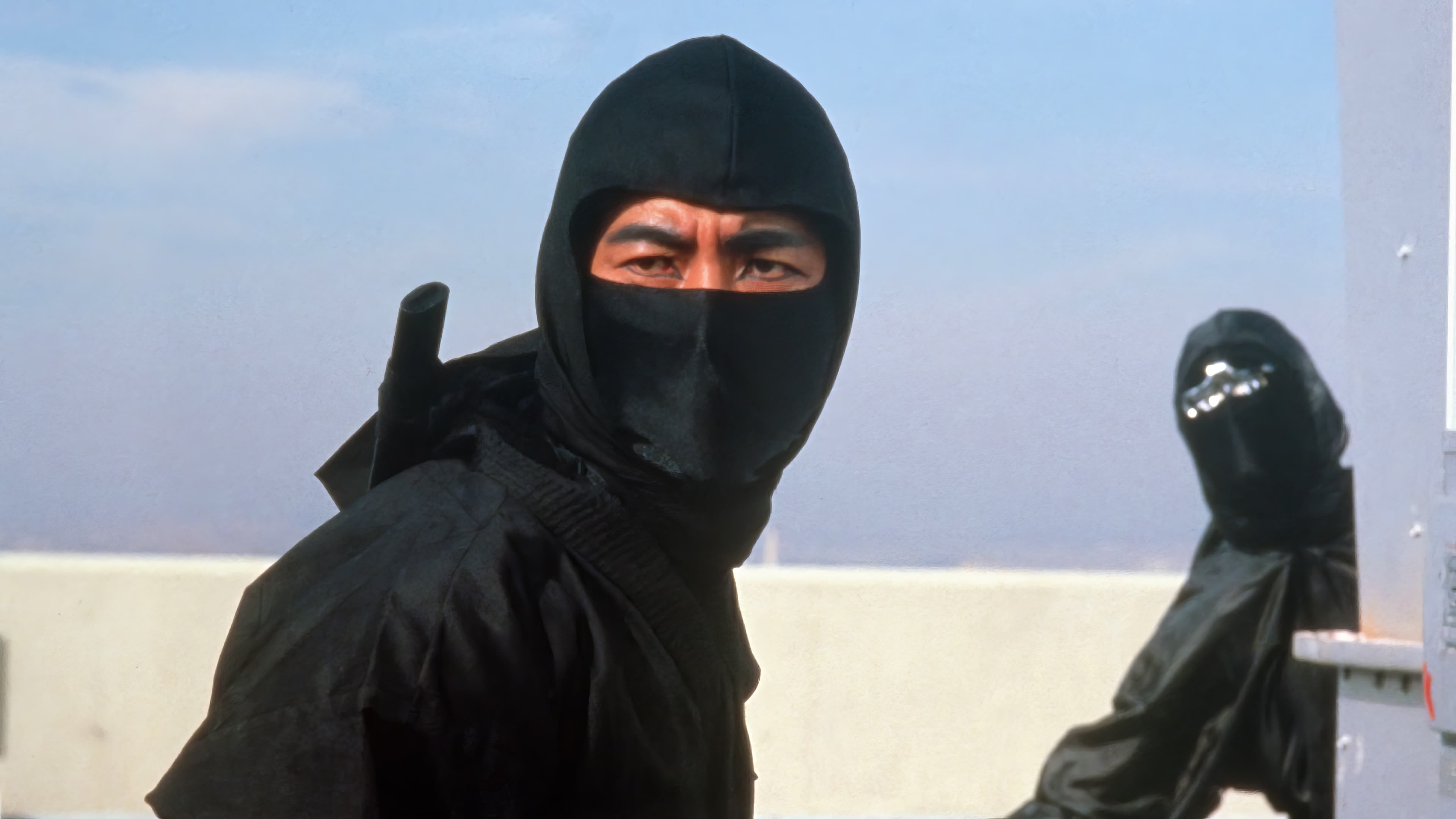 Ninja, la furia umana - film