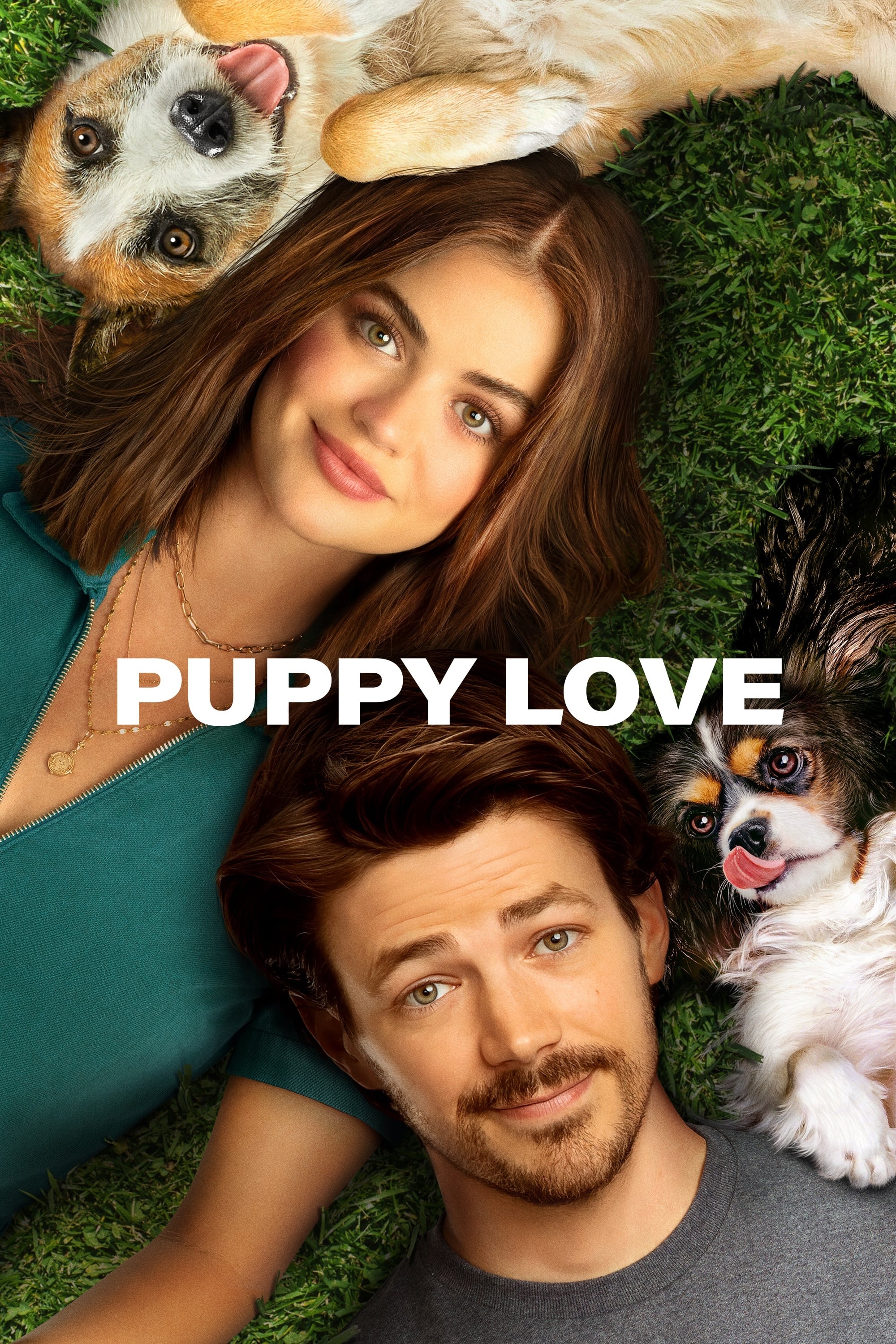 Puppy Love film