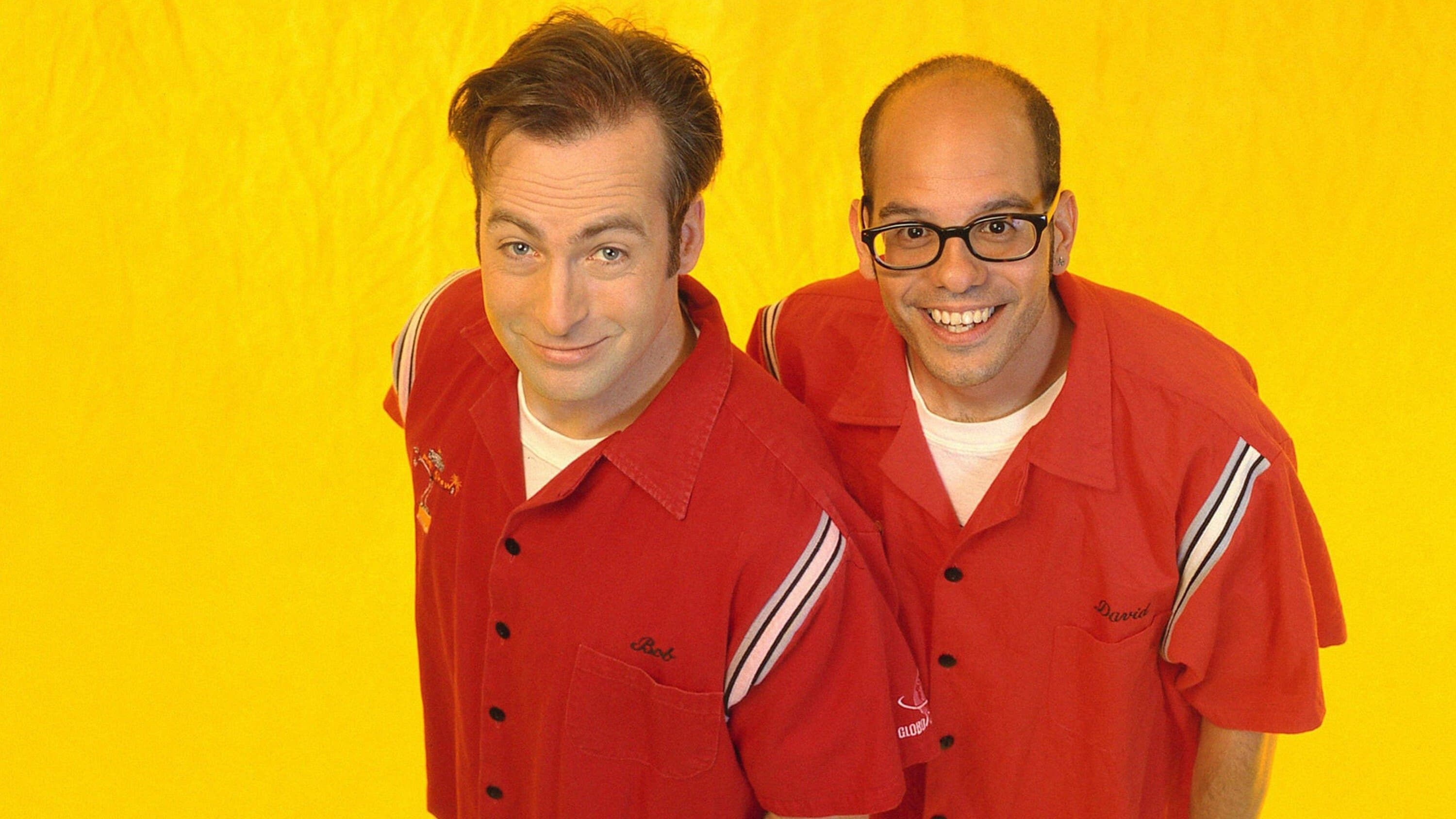 Mr. Show with Bob and David - serie
