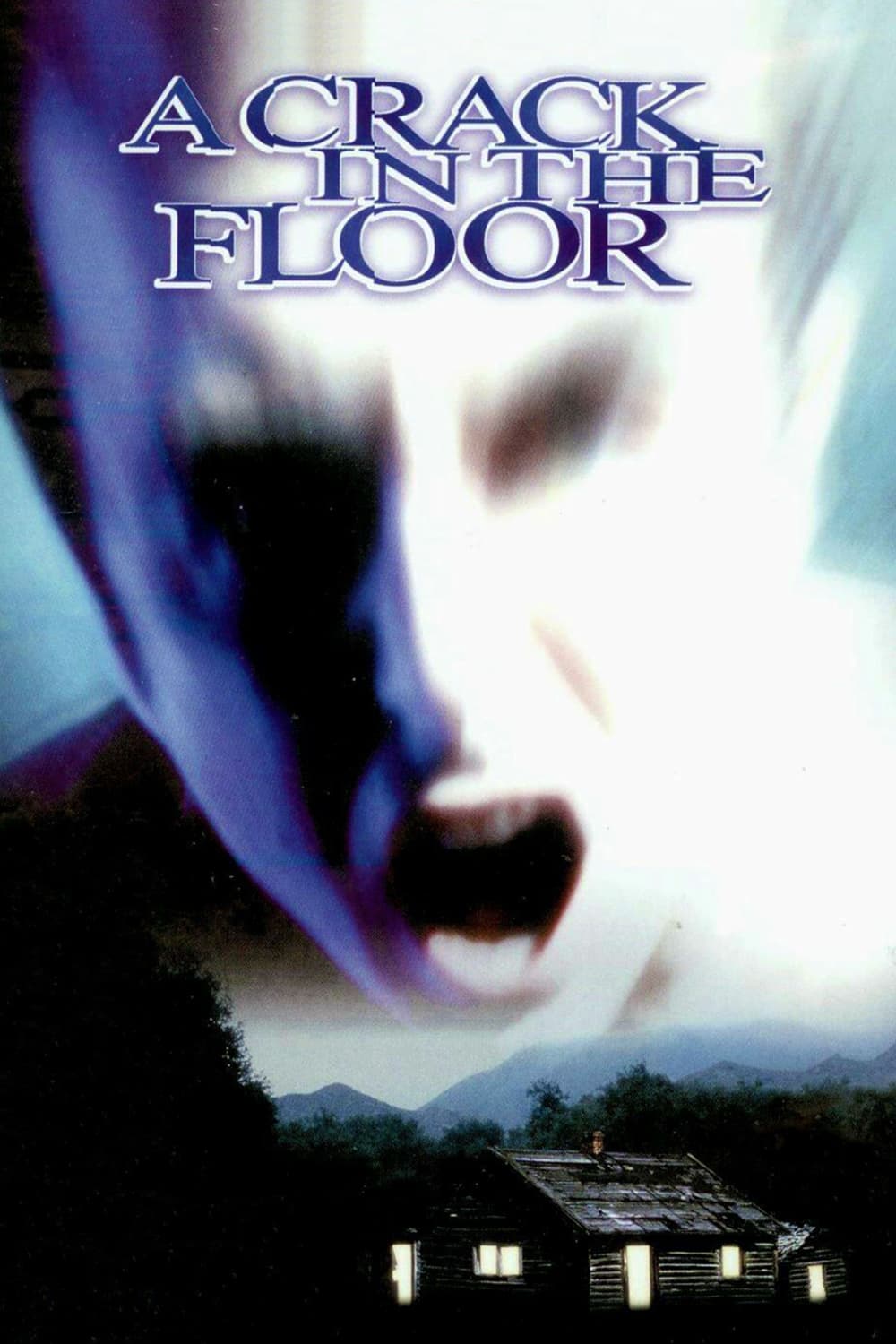 A Crack in the Floor film