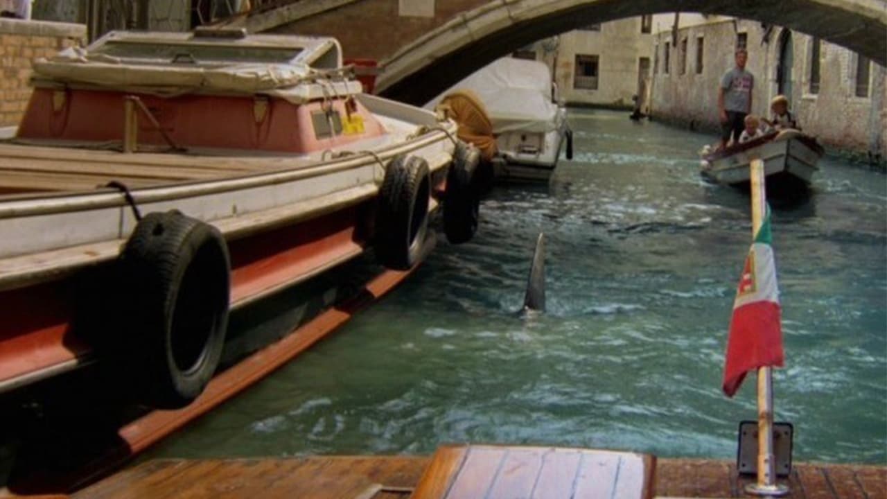 Shark in Venice - film