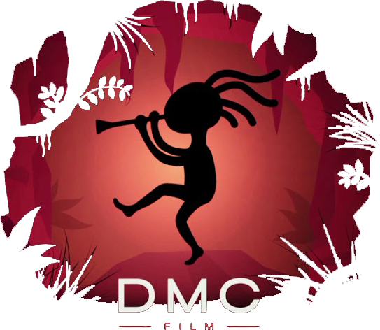 DMC Film - company