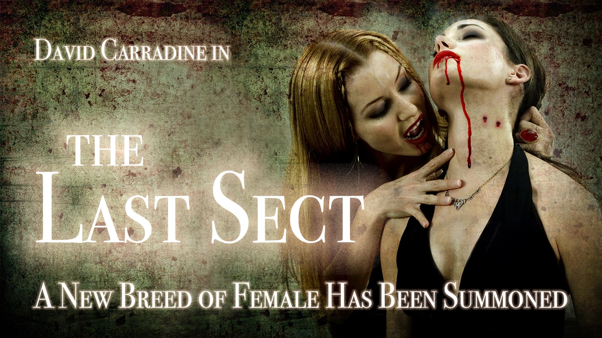 The Last Sect - film