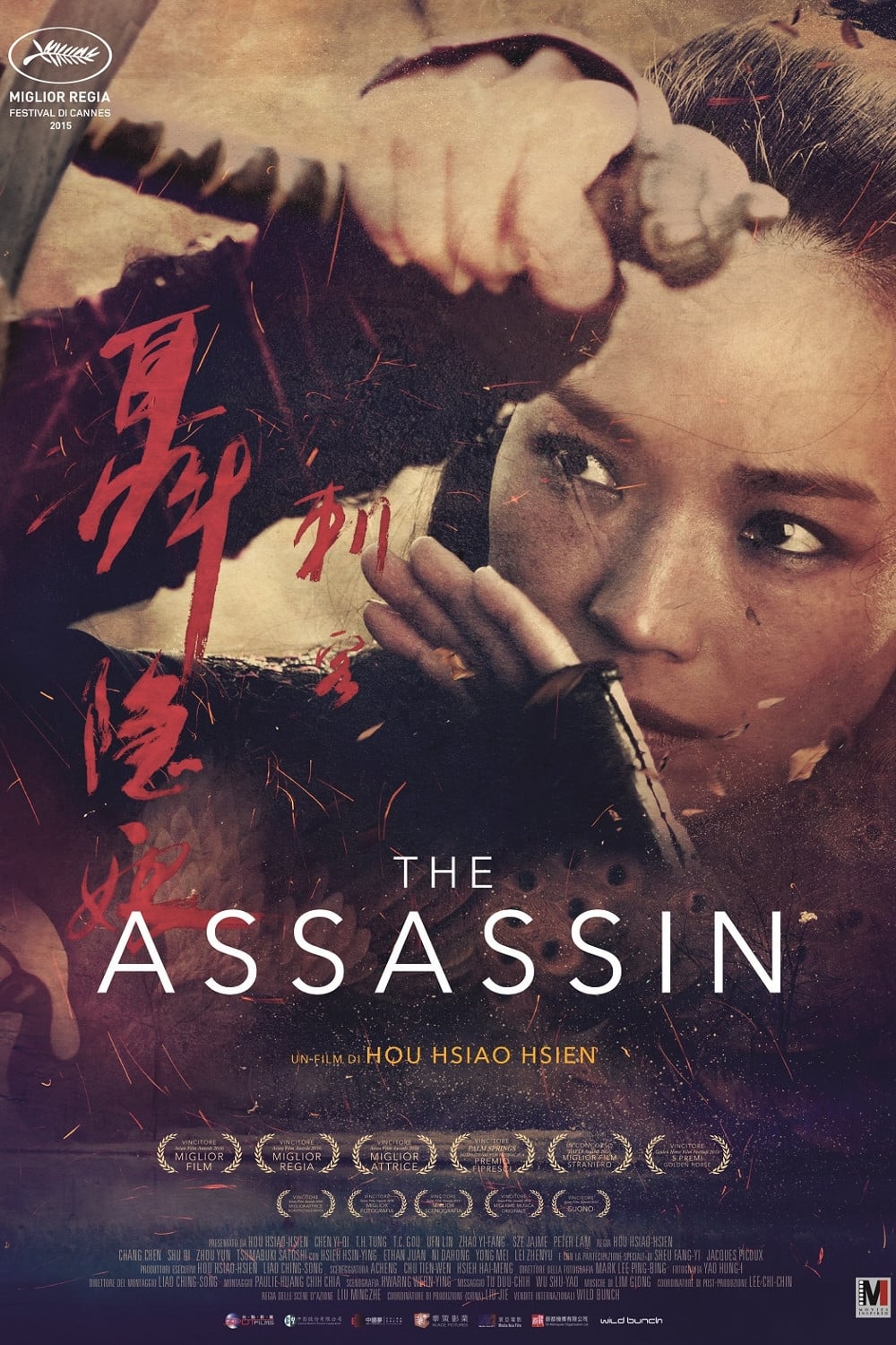 The Assassin film