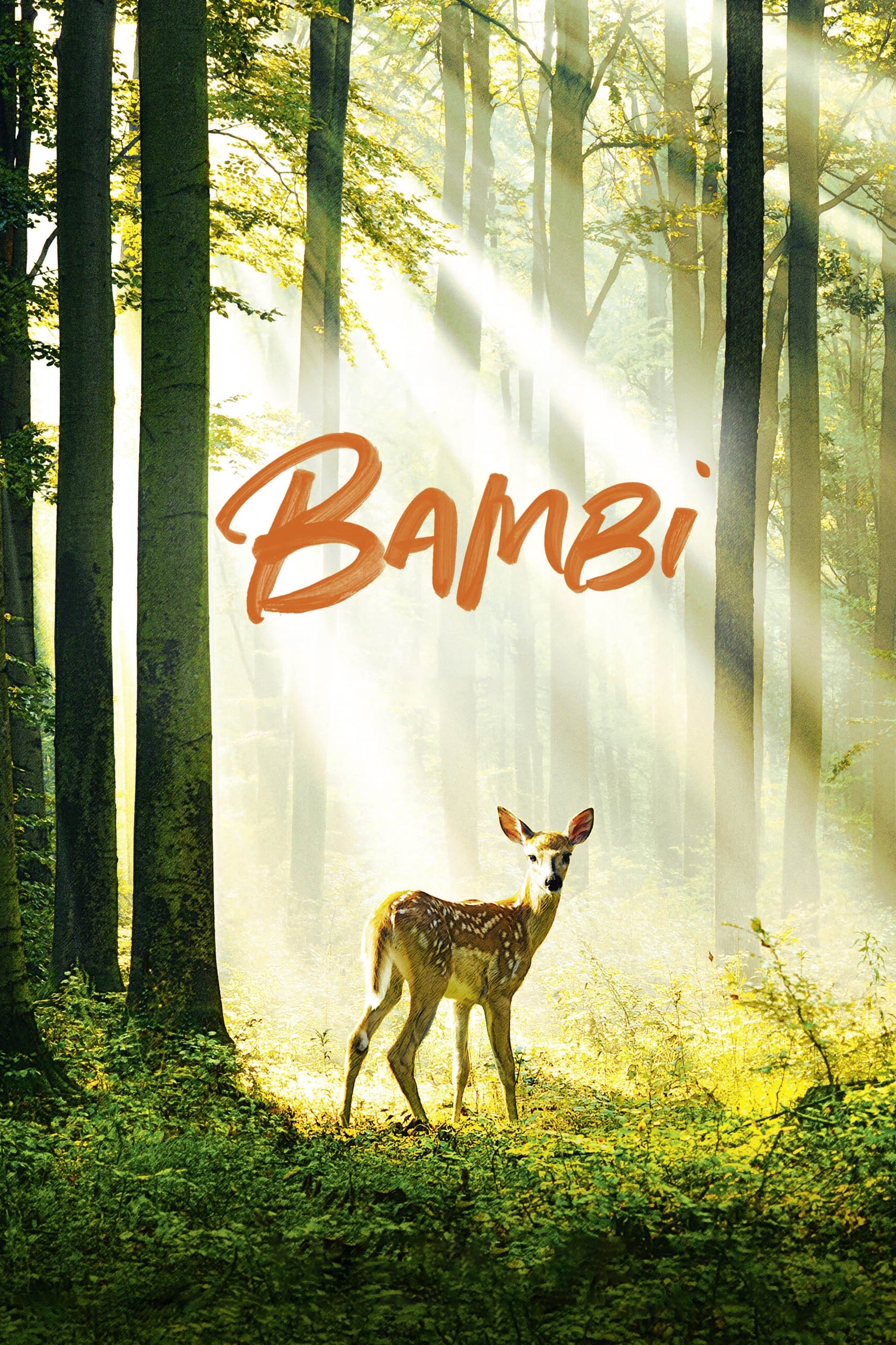Bambi, l'histoire d'une vie dans les bois