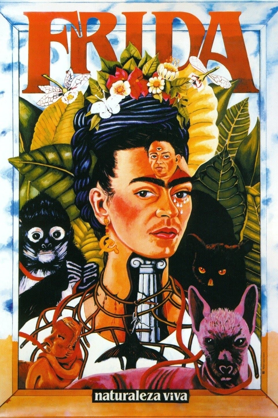 Frida, naturaleza viva film
