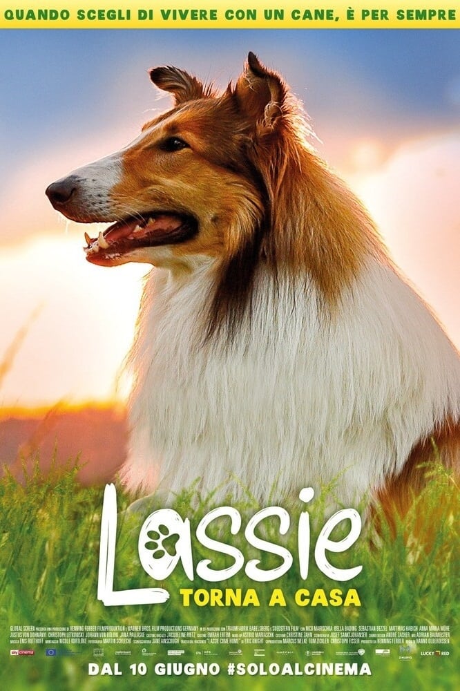 Lassie torna a casa film