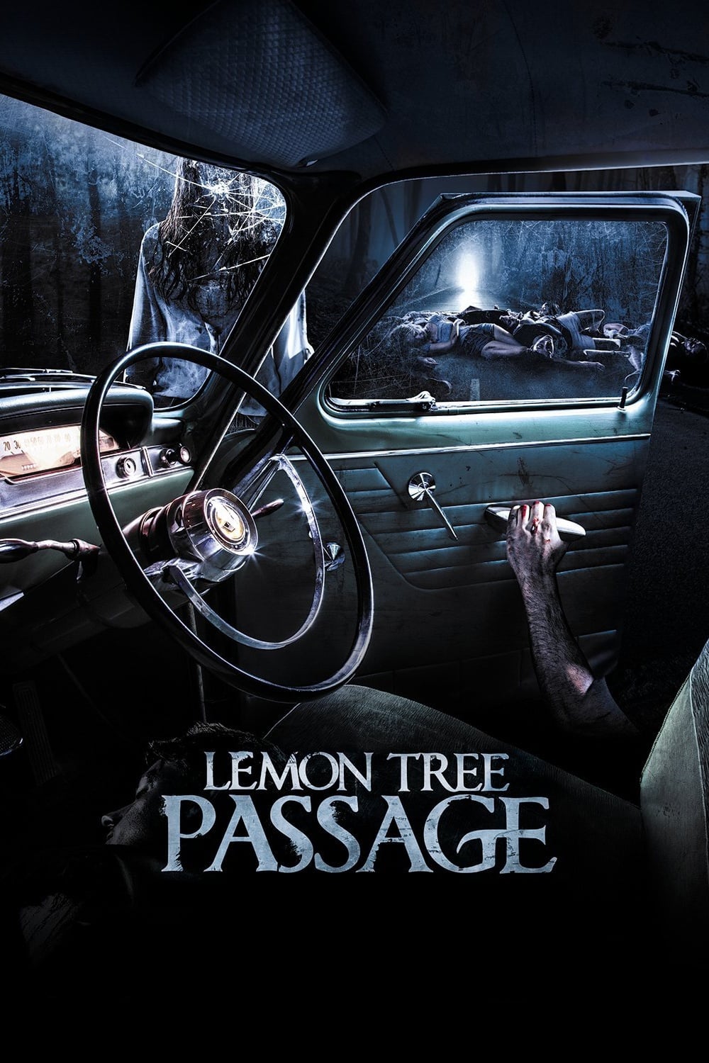 Lemon Tree Passage film