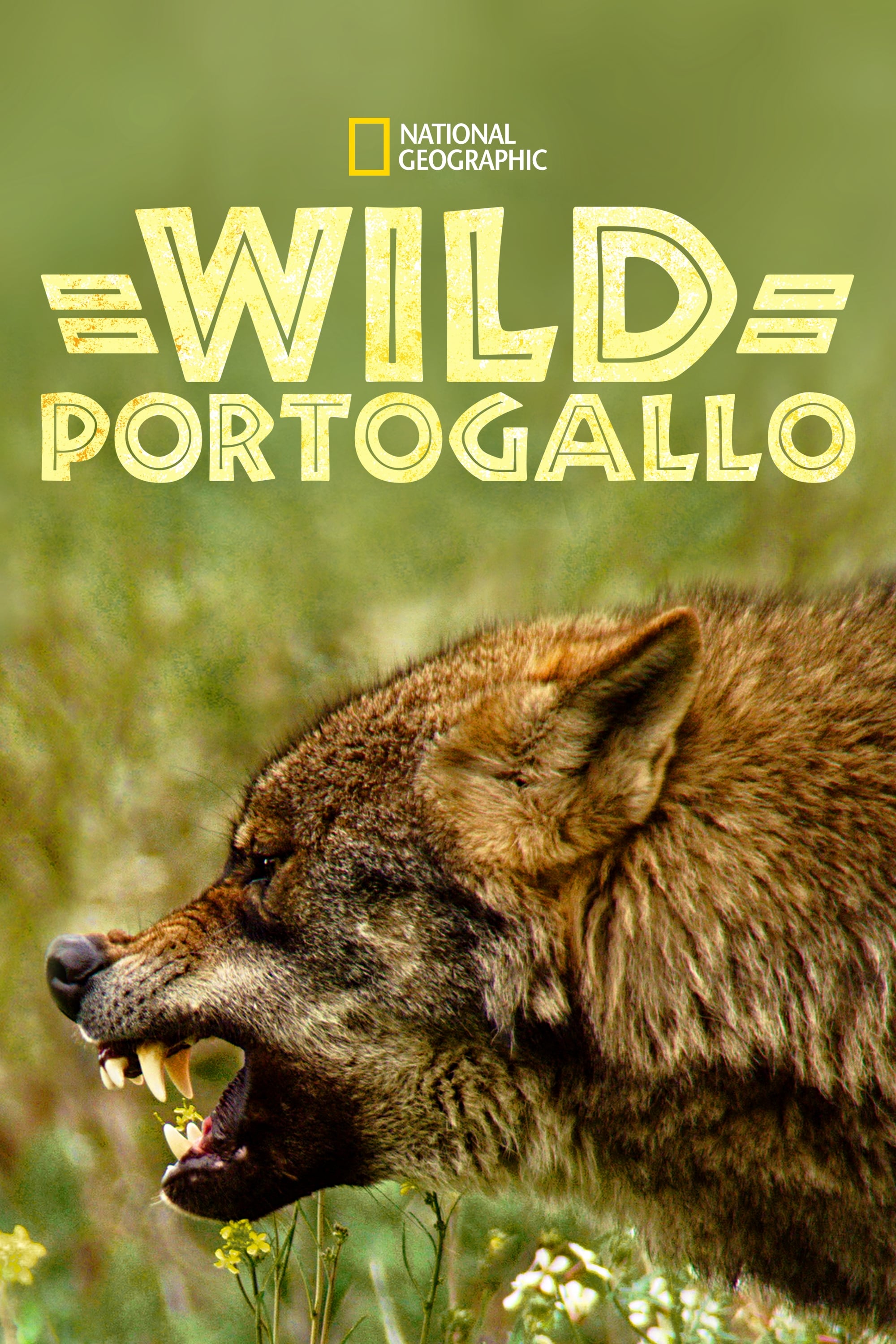 Wild Portugal film