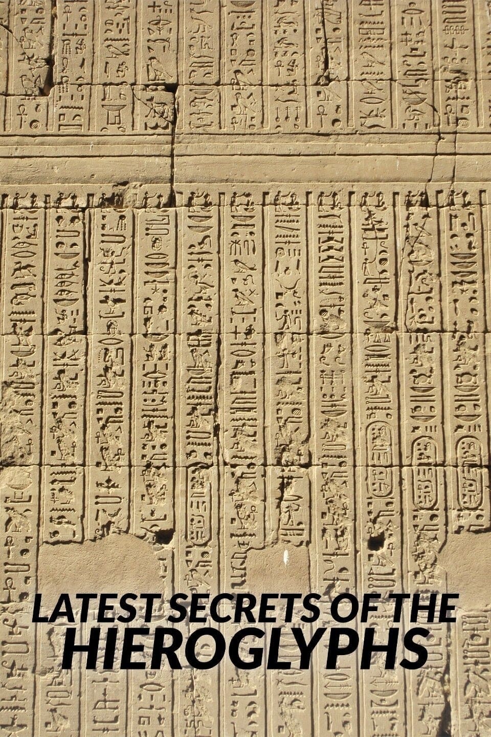 The Latest Secrets of Hieroglyphs film
