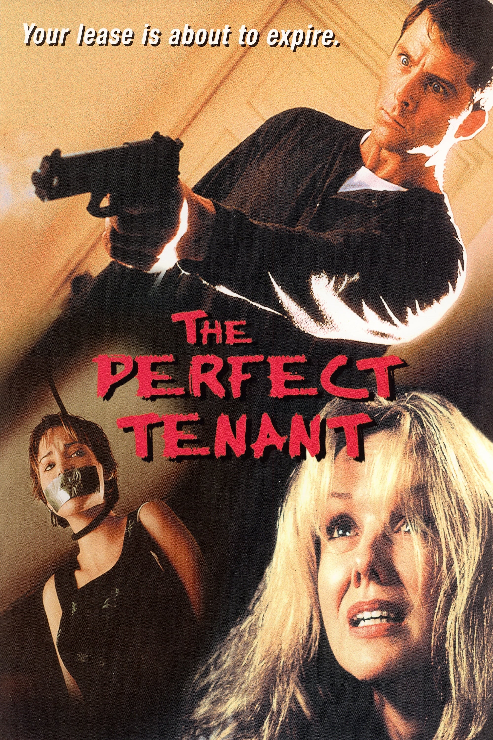 The Perfect Tenant film